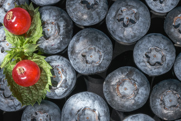 Sweet ripe blueberries