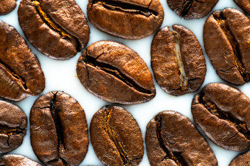 Roasted coffee beans on white milk background. Coffee beans in milk. Top view macro shot of arabica, robusta and iberica coffee seeds. 