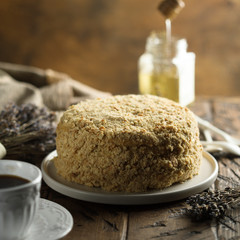 Traditional homemade Russian honey cake