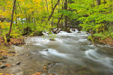 Oirase Stream (Oirase Keiryu), the mountain stream outlet draining Lake Towada in Aomori Prefecture, Tohoku region, Japan. The most famous and popular autumn colors destinations in Japan.