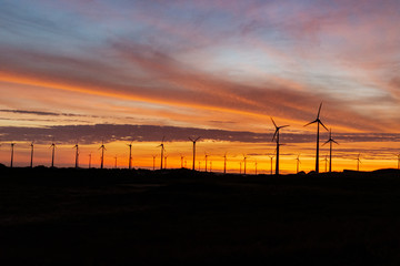 Por do sol no parque e&oacute;lico 