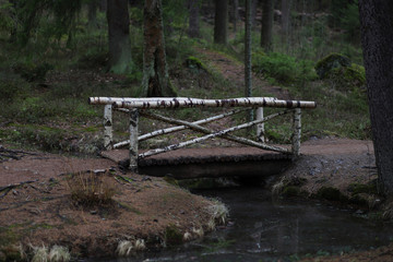 White birch bridge over a small channel located in a dark spruce forest
