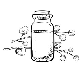 Essential oil bottle with eucalyptus leaves, hand drawn vector illustration