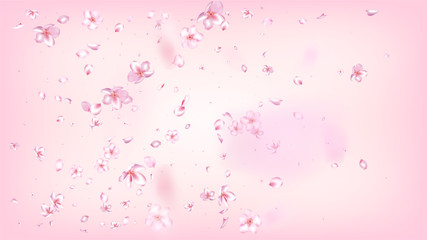 Nice Sakura Blossom Isolated Vector. Magic Flying 3d Petals Wedding Frame. Japanese Style Flowers Wallpaper. Valentine, Mother's Day Spring Nice Sakura Blossom Isolated on Rose