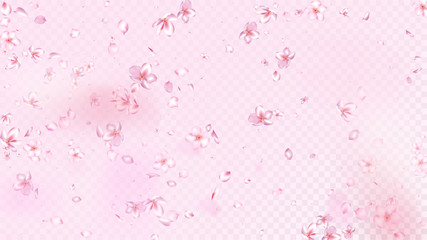 Nice Sakura Blossom Isolated Vector. Spring Blowing 3d Petals Wedding Design. Japanese Bokeh Flowers Illustration. Valentine, Mother's Day Pastel Nice Sakura Blossom Isolated on Rose