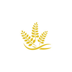 agriculture wheat logo template design vector