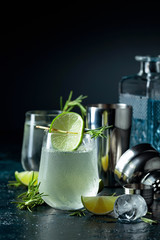 Gin tonic with rosemary and lime in frosted glass.