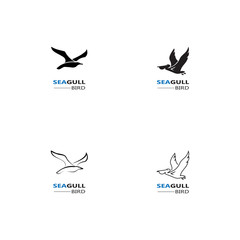 Seagull  Bird logo icon  vector designs