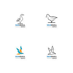 Seagull  Bird logo icon  vector designs