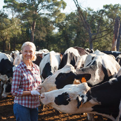 Contented woman on a rural farm with cows.