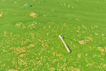 Environmental water pollution