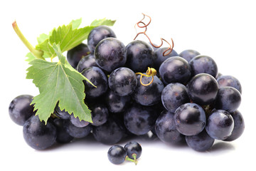 Grapes on a white background