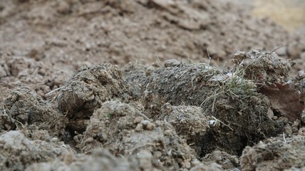 Dirt and Soil in Rock Form