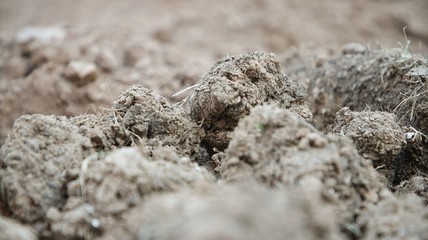 Dirt and Soil in Rock Form