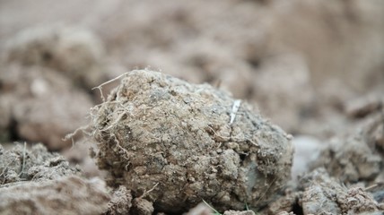 Dirt and Soil in Rock Form