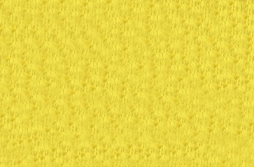 Obraz premium Abstract Textured of Yellow Flower Petals Background