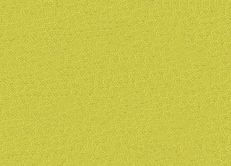 Obraz premium Abstract Textured of Yellow Flower Stamens Background