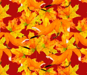 Pattern cute red Fox on a background of yellow maple leaves