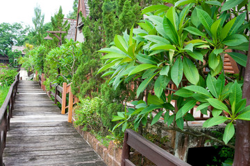 Stone walkway in the park with green grass