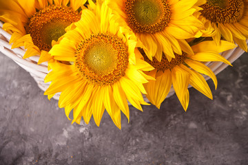 Bouquet of sunflowers in a backet. Copy space.
