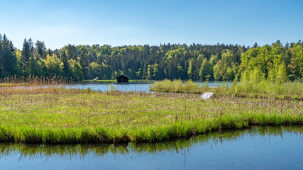Fototapeta na wymiar Blick auf die Holzhütte im Hackensee