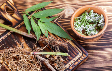 Dried rhizomes and roots of valerian medicinal. Transparent jar with fresh valerian flowers....