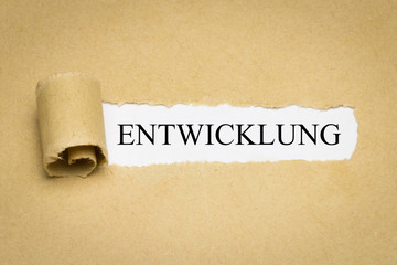 Entwicklung