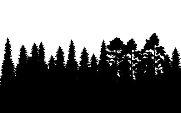 illustration with black forest