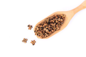 Zanthozylum limonella alston in wooden scoop isolated on white background. Top view. Flat lay.