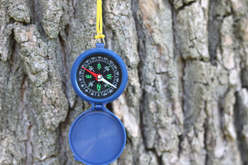 round compass on background of tree bark