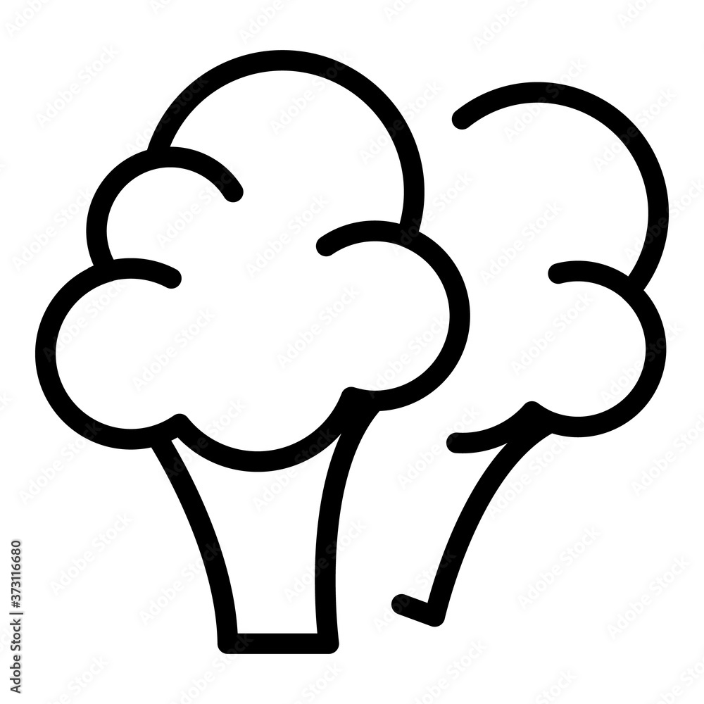 Poster broccoli icon. outline broccoli vector icon for web design isolated on white background