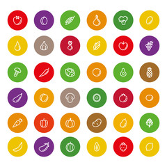 Set of vector fruits and vegetables flat icons in colorful circles on white background