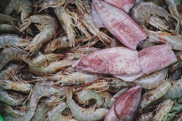 fresh raw shrimps