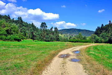 Fototapeta na wymiar Summer mountains landscape. Rural country road in a grassy meadow on a blue sky with white clouds background, Low Beskids, Poland