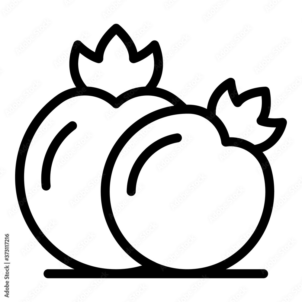 Poster tomatoes icon. outline tomatoes vector icon for web design isolated on white background