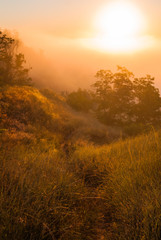 Fototapeta premium Sunrise over the cliff. Morning haze at dawn on a cliff in summer. freshness