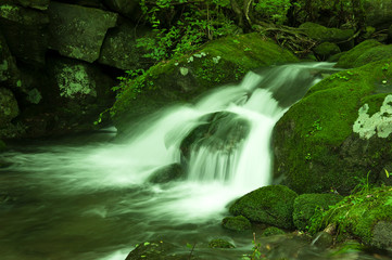 Mossy valley,Beautiful mountain stream with moss covered stone.