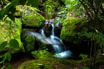 Powerfull cascading waterflls flows down moss covered rocks and wild picturesque deep
