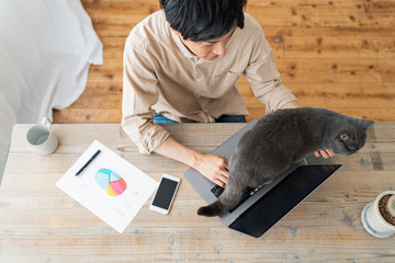 One man working remotely and a cat.