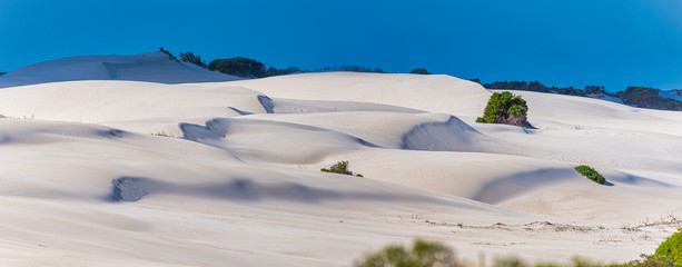 Lancelin is Australia's premier sandboarding destination. Pure white sand rises three storeys high and entry to the dunes is free and open © ricjacynophoto.com