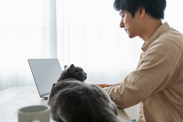 One man working remotely and a cat.