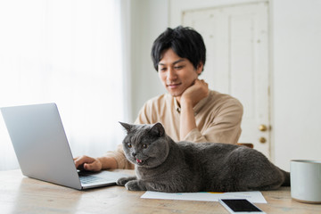 One man working remotely and a cat.