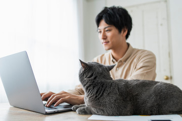 One man working remotely and a cat.