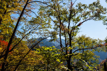 Obraz premium The landscape of autumn mountain background blue sky.