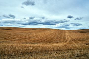 Fototapeta premium rural landscape with arable fields after the harvest