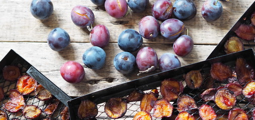 Fruit plum chips. Black grates from a home fruit and vegetable dryer with dried plums on a wooden background with fresh plums.
