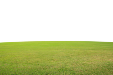 green grass and white background.