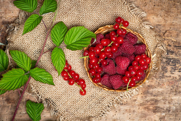 fresh raspberries and currant fruits in a bowl