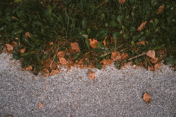 Transition from green grass to leafs in to tarmac.