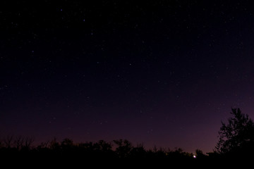 Bright starry night sky